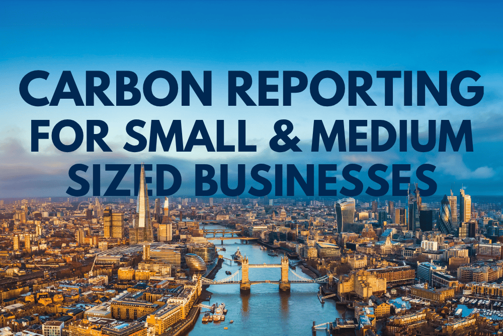 Carbon Reporting for SMEs: When ‘Voluntary’ Becomes Expected