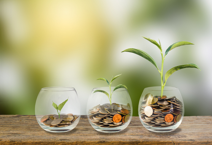 Why early-stage businesses should consider the Enterprise Investment Scheme (EIS)