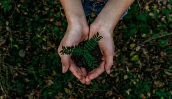 greenery